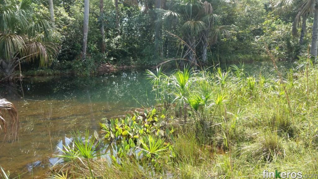 Finca Productiva en Puerto López – Ganadería y/o Cultivos - Finca en Puerto López, Meta